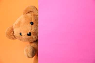 Photo of Cute teddy bear peeking out of blank card on orange background. Space for text