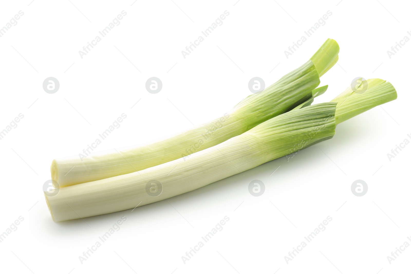 Photo of Fresh leeks isolated on white. Spicy vegetable