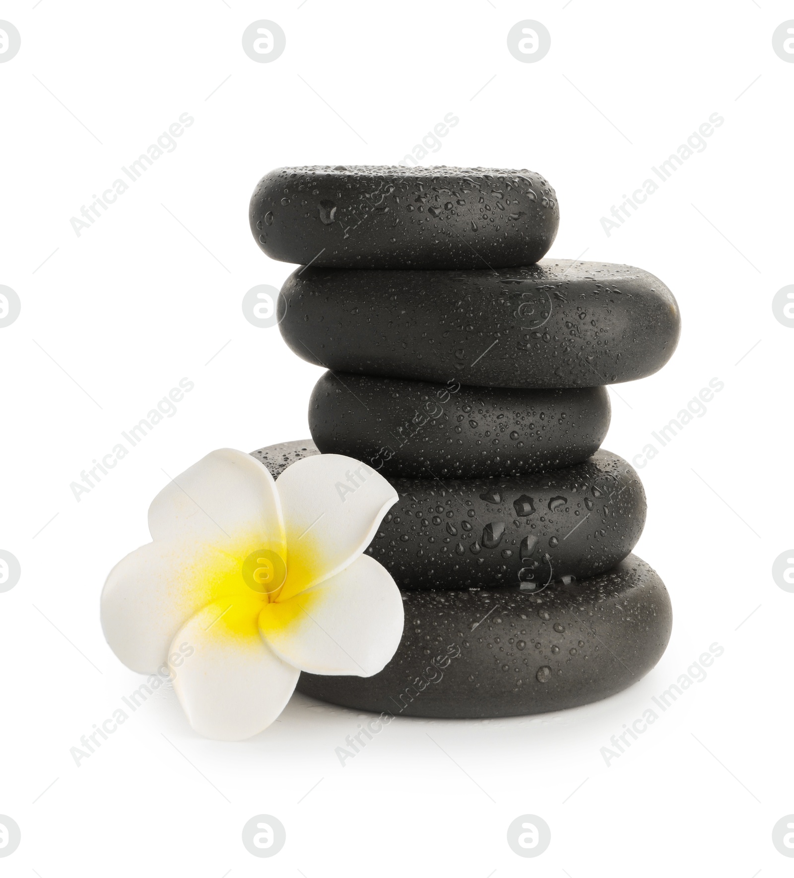 Photo of Wet spa stones with flower isolated on white