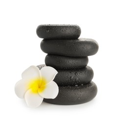 Photo of Wet spa stones with flower isolated on white