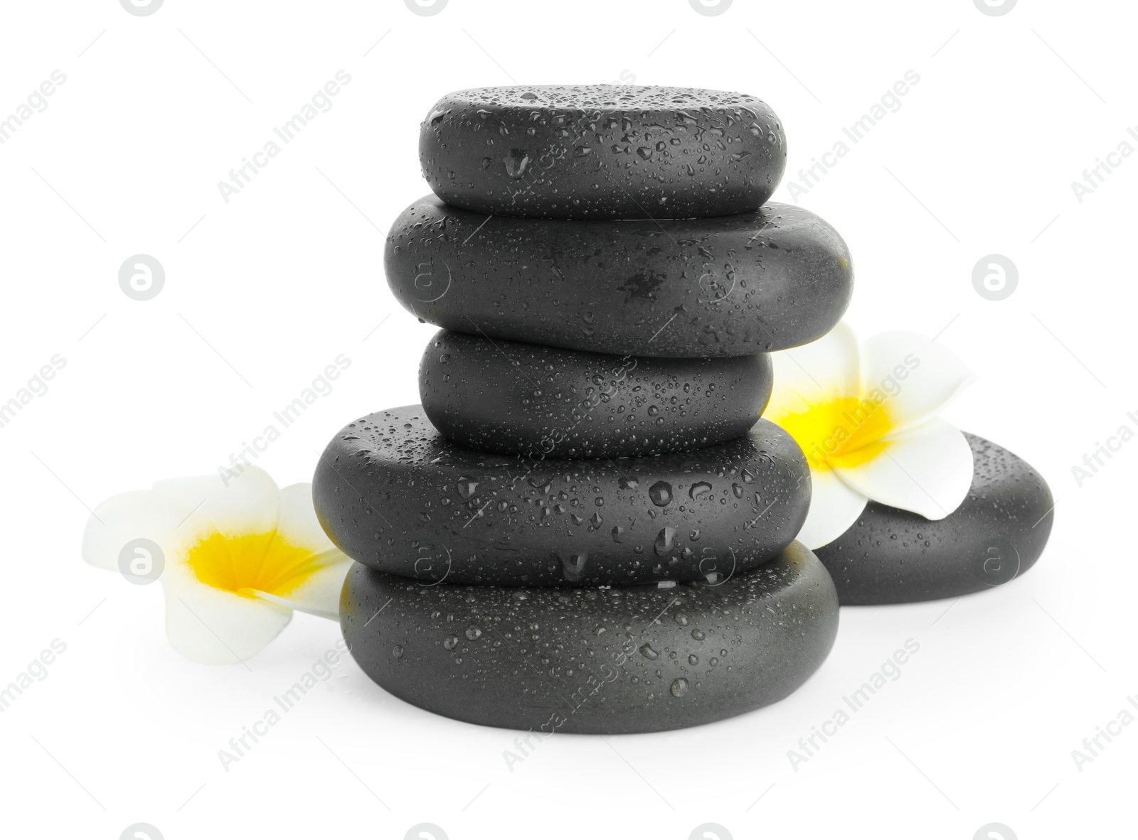 Photo of Wet spa stones with flowers isolated on white