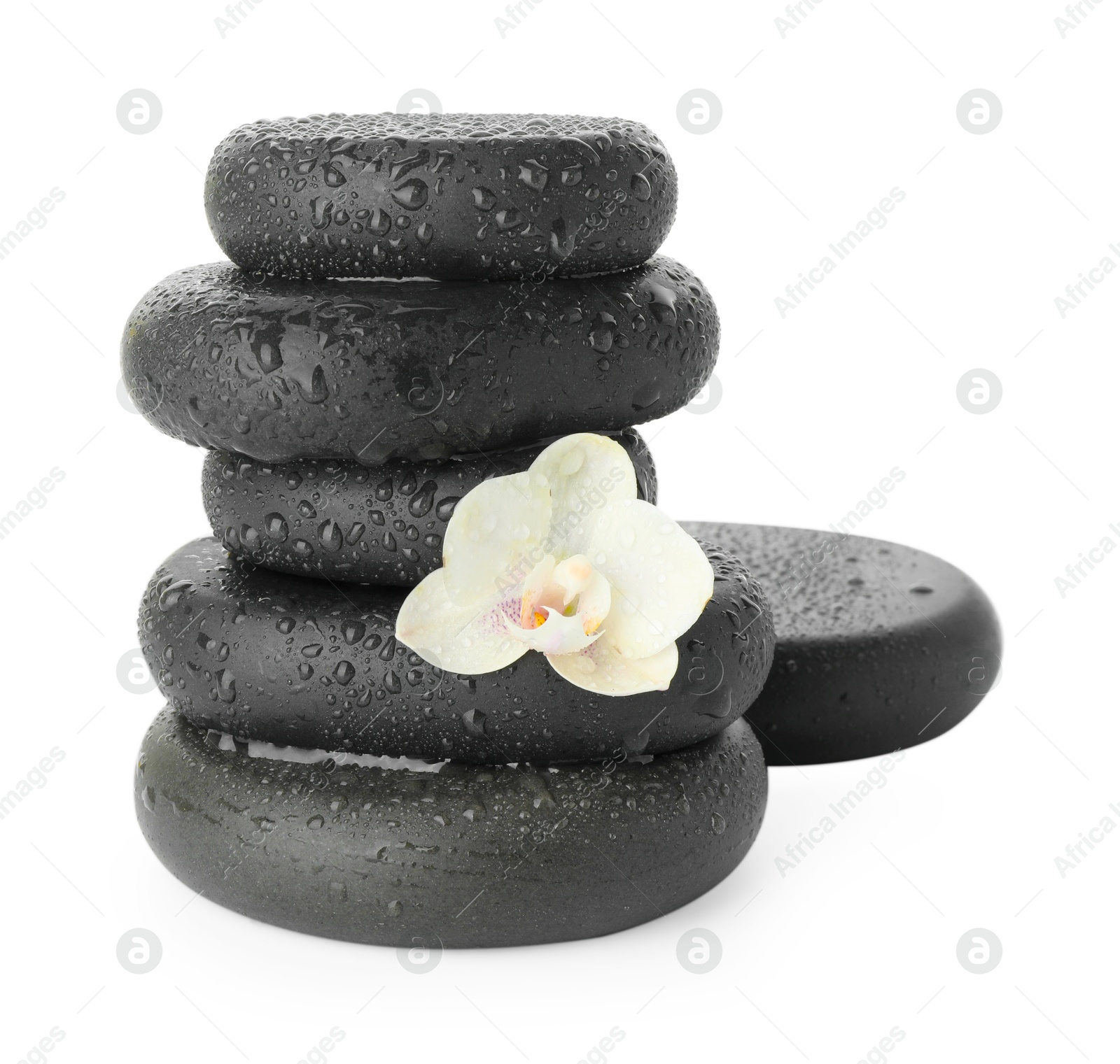 Photo of Wet spa stones with flower isolated on white