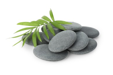 Photo of Spa stones with leaves isolated on white