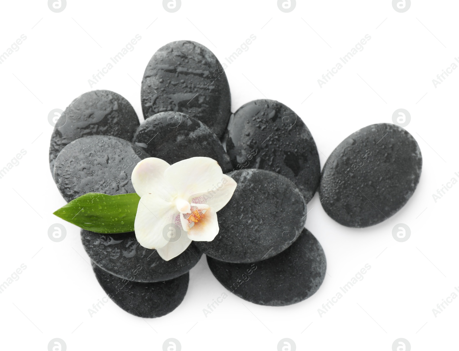 Photo of Wet spa stones with flower and leaf isolated on white, top view