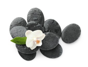 Photo of Wet spa stones with flower and leaf isolated on white, top view