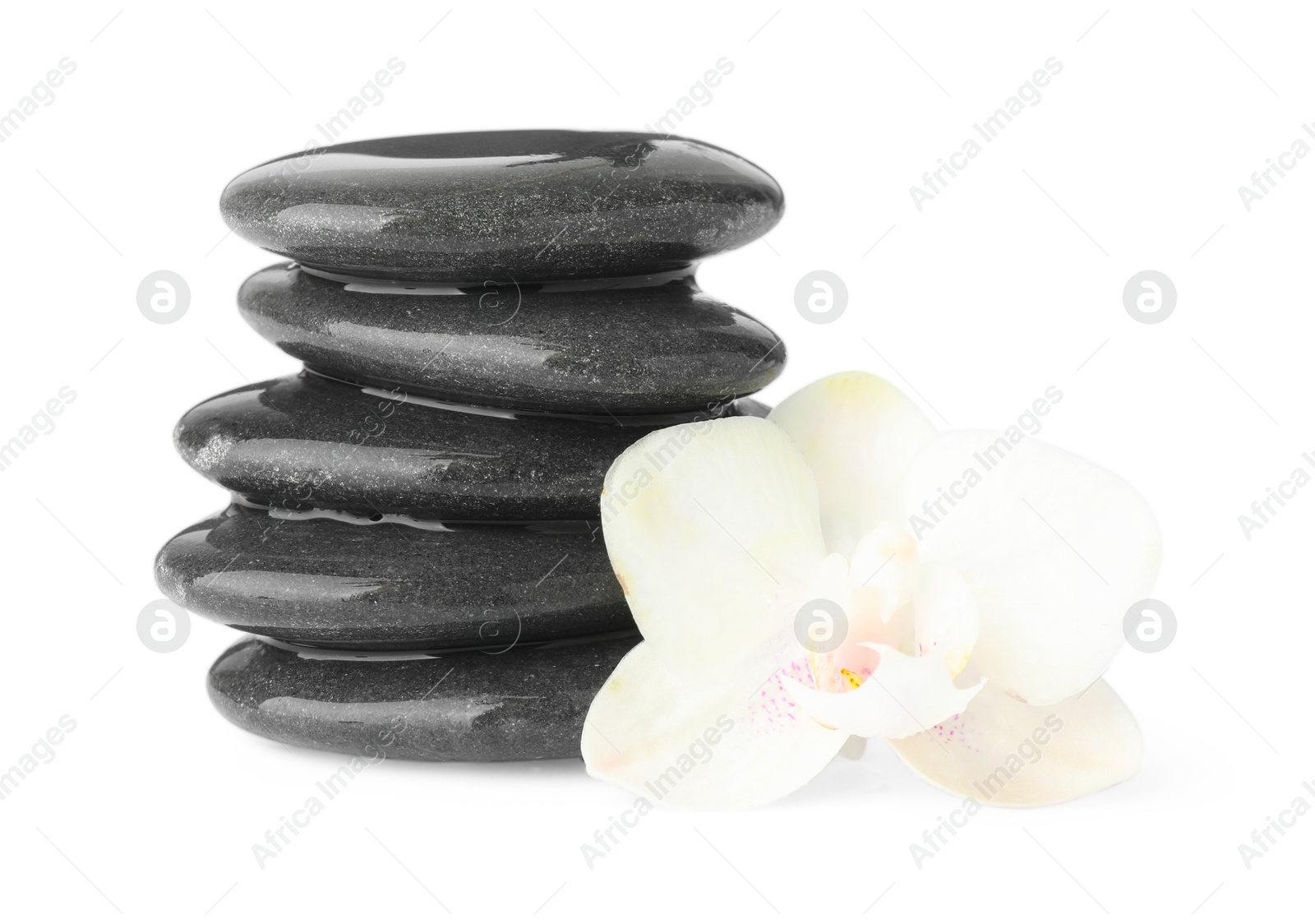 Photo of Wet spa stones with flower isolated on white