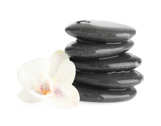 Photo of Wet spa stones with flower isolated on white