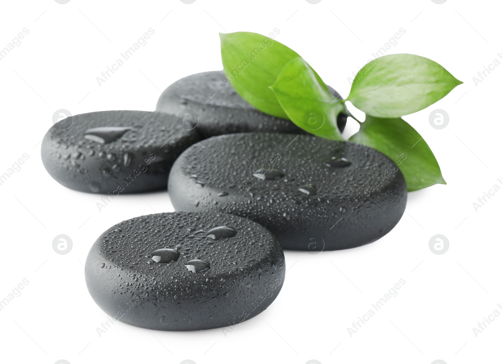 Photo of Wet spa stones and green leaves isolated on white