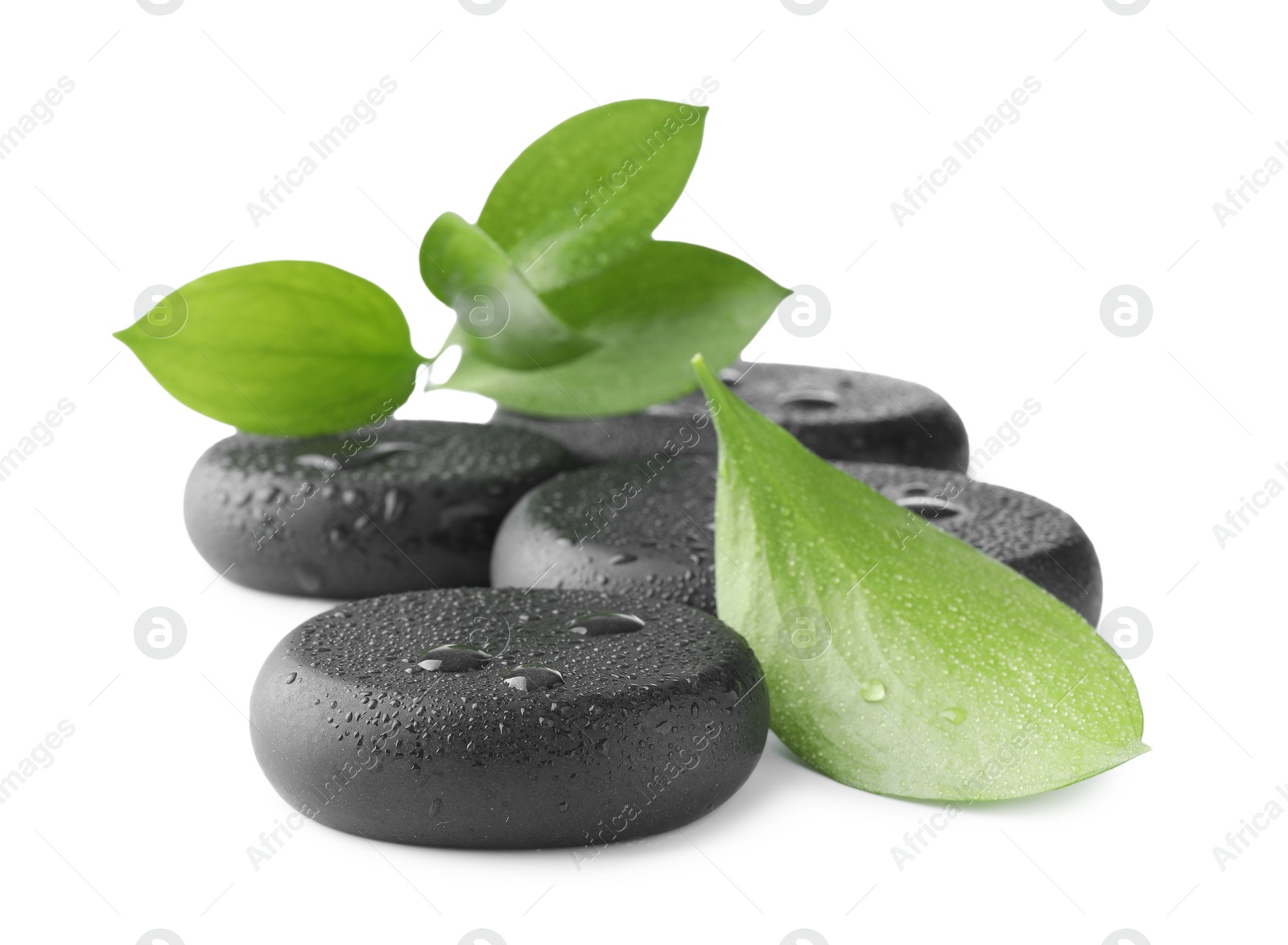 Photo of Wet spa stones and green leaves isolated on white