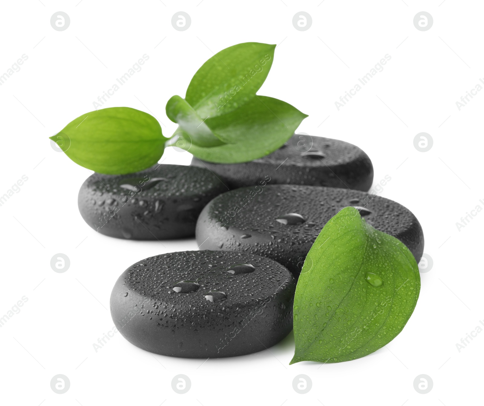 Photo of Wet spa stones and green leaves isolated on white