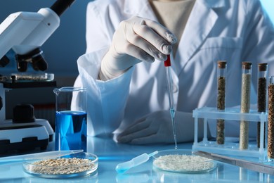 Photo of GMO concept. Scientist dripping something onto rice grains at table in laboratory, closeup