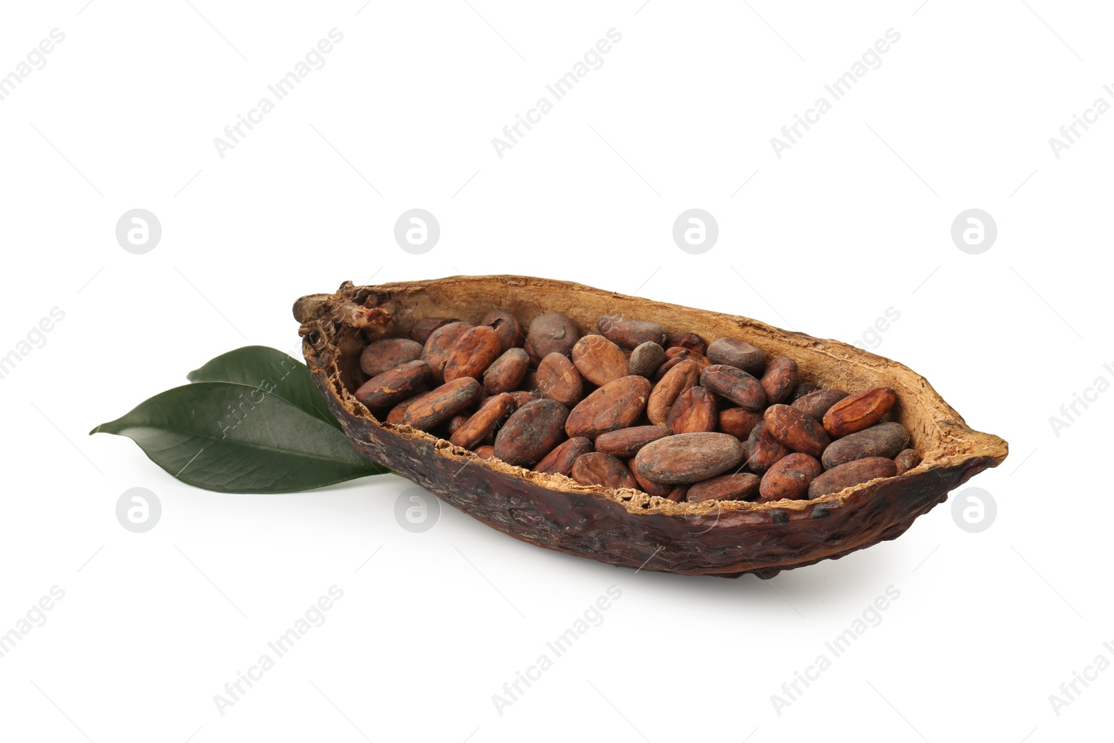 Photo of Cocoa pod with beans and leaves isolated on white