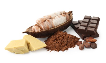 Cocoa pod with beans, powder, butter and chocolate isolated on white