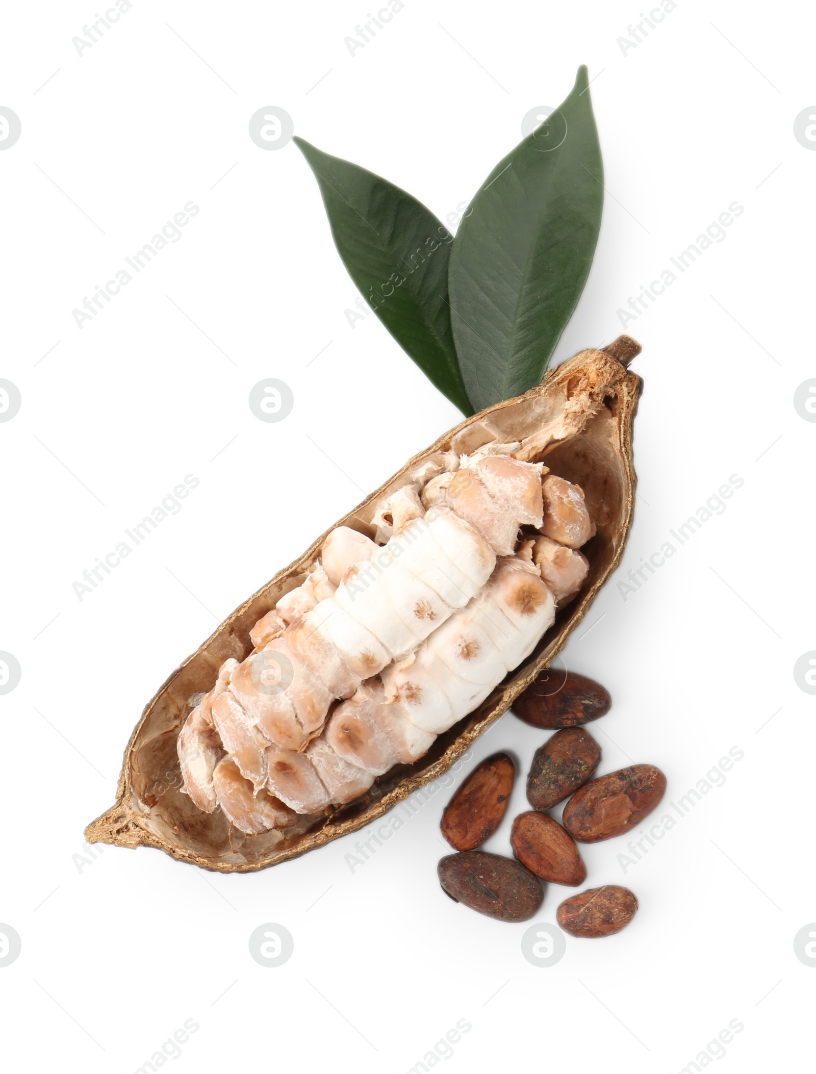 Photo of Cocoa pod with beans isolated on white, top view