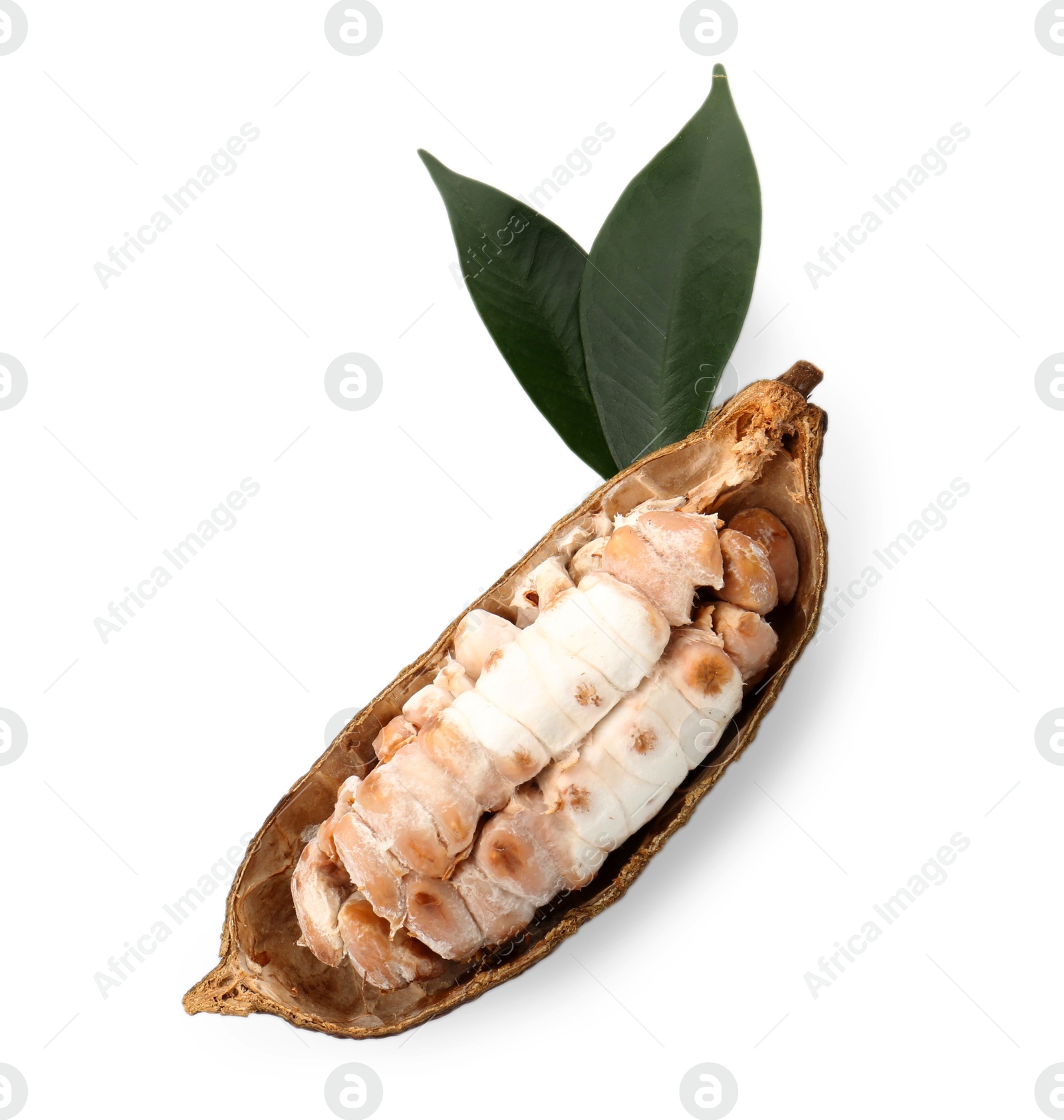 Photo of Cocoa pod with beans isolated on white, top view