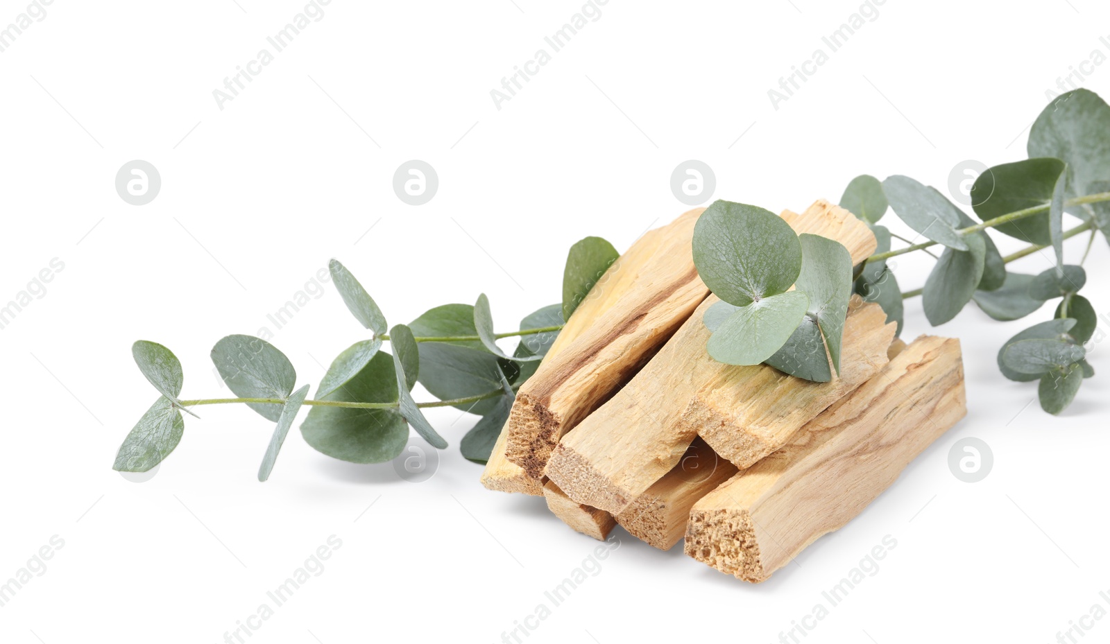 Photo of Palo santo sticks and eucalyptus branches isolated on white