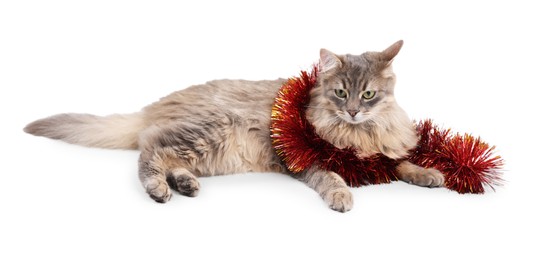 Photo of Cute cat with bright Christmas tinsel isolated on white