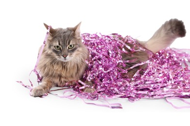 Photo of Cute cat with pink Christmas tinsel isolated on white