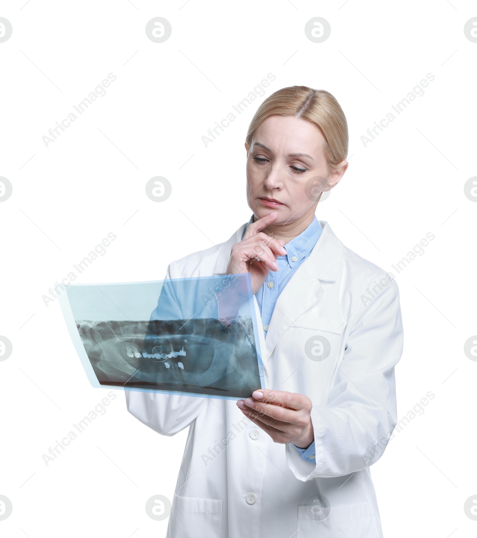 Photo of Doctor examining x-ray image on white background