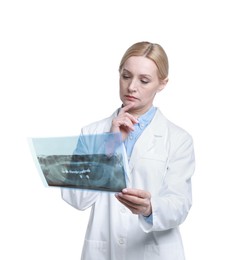 Photo of Doctor examining x-ray image on white background