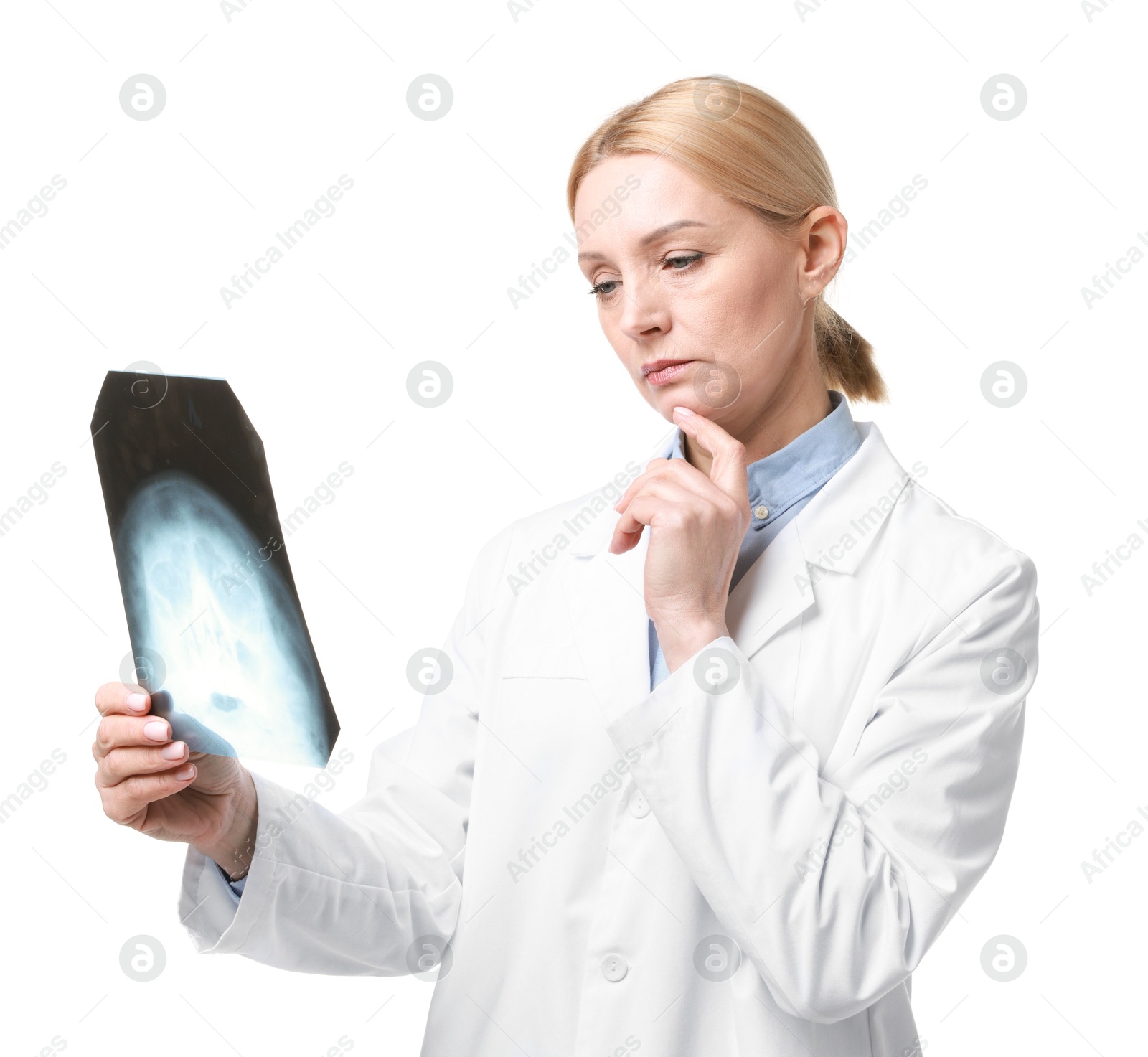 Photo of Doctor examining x-ray image of paranasal sinuses on white background