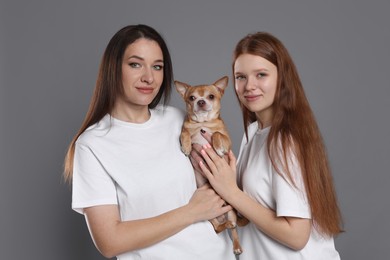 Photo of Family portrait of beautiful mother with teenage daughter and cute Chihuahua dog on grey background