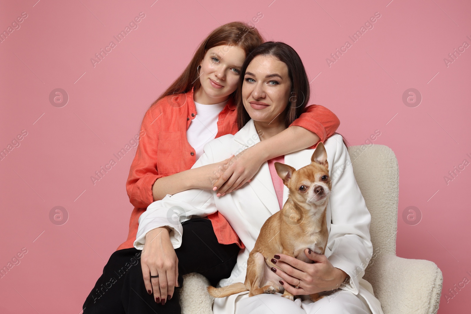 Photo of Portrait of beautiful mother with teenage daughter and cute Chihuahua dog on armchair against pink background