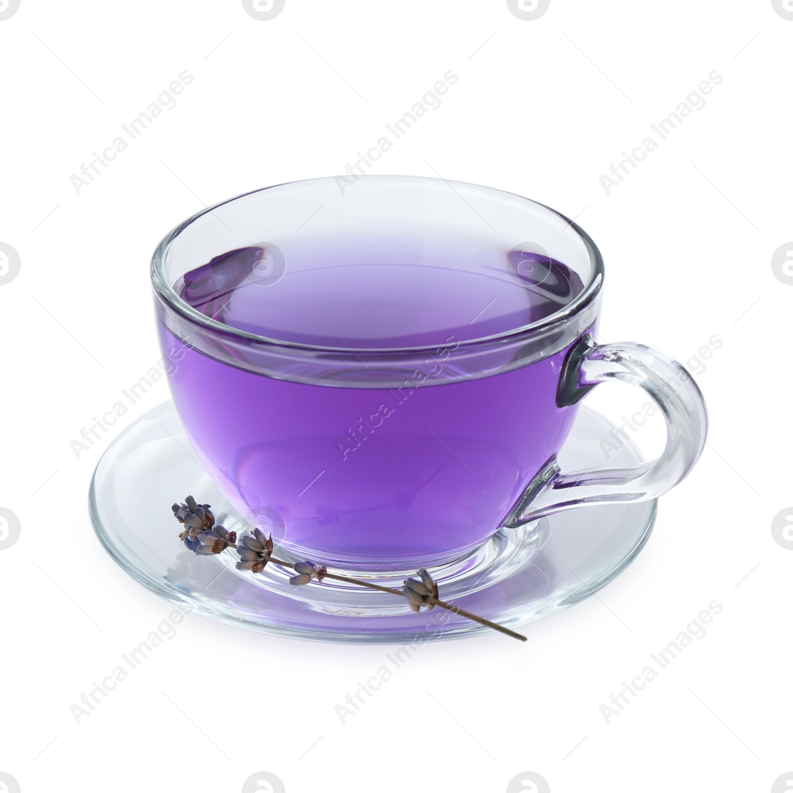 Photo of Aromatic lavender tea in glass cup and dry flowers isolated on white