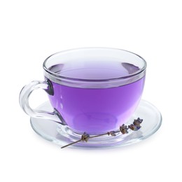 Photo of Aromatic lavender tea in glass cup and dry flowers isolated on white