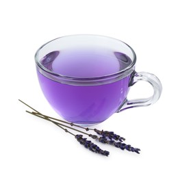 Photo of Aromatic lavender tea in glass cup and dry flowers isolated on white