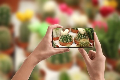 Image of Man taking photo of plant to recognize it using identifier application on mobile phone indoors, closeup