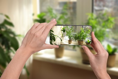 Image of Man taking photo of plant to recognize it using identifier application on mobile phone indoors, closeup