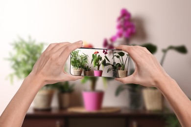 Image of Man taking photo of plant to recognize it using identifier application on mobile phone indoors, closeup