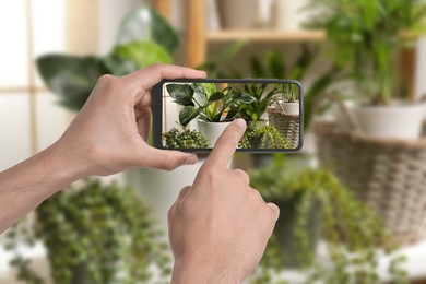 Image of Man taking photo of plant to recognize it using identifier application on mobile phone indoors, closeup