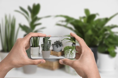 Image of Man taking photo of plant to recognize it using identifier application on mobile phone indoors, closeup