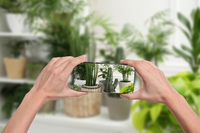 Man taking photo of plant to recognize it using identifier application on mobile phone indoors, closeup