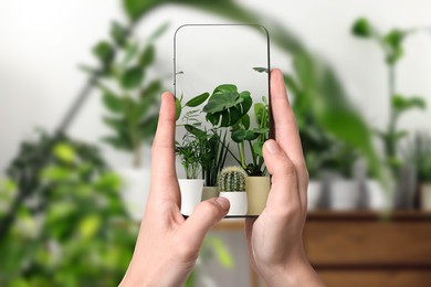 Image of Man taking photo of plant to recognize it using identifier application on mobile phone indoors, closeup