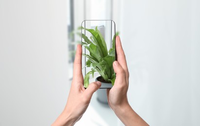 Image of Man taking photo of plant to recognize it using identifier application on mobile phone indoors, closeup