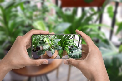 Image of Man taking photo of plant to recognize it using identifier application on mobile phone indoors, closeup