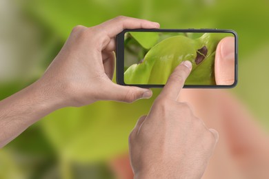 Image of Man using mobile phone to recognize disease of house plant, closeup. Finder app