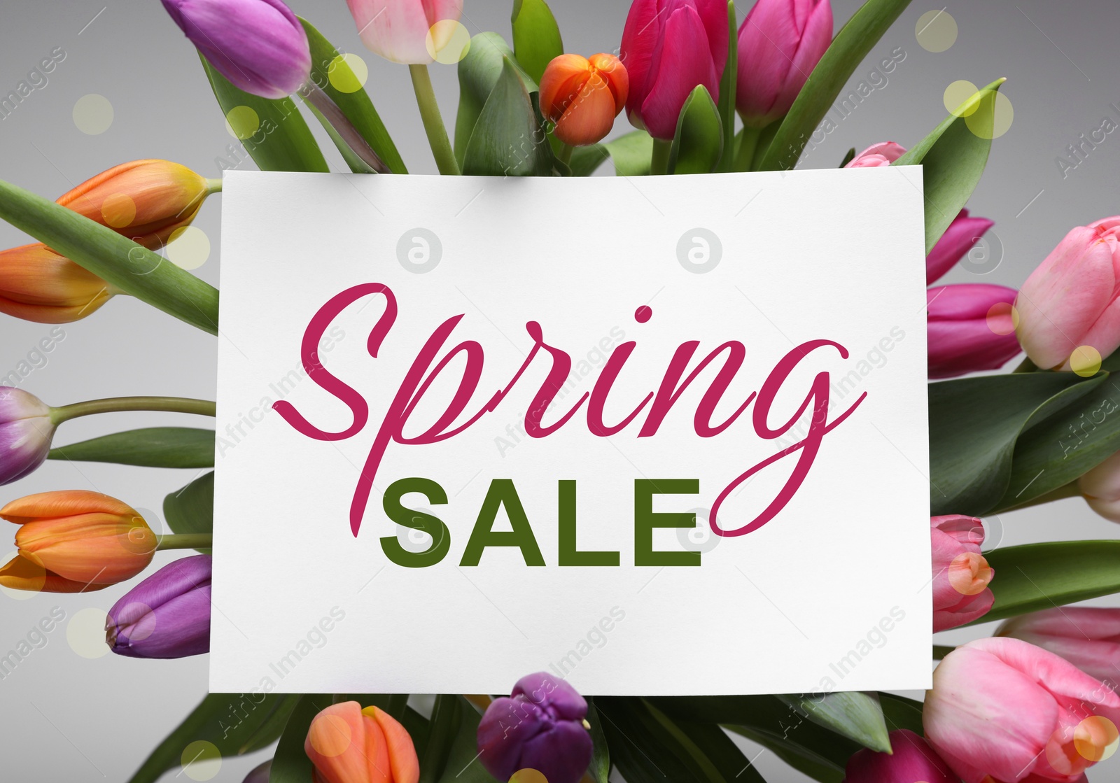 Image of Spring Sale card and beautiful tulips on grey background, top view. Seasonal discount