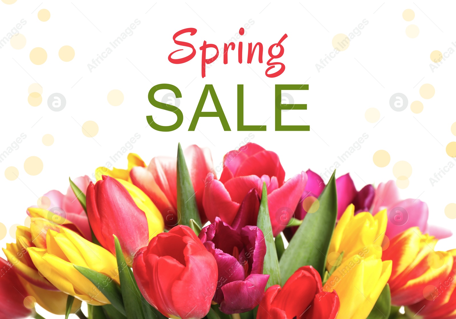 Image of Spring Sale flyer design with beautiful tulips on white background. Seasonal discount