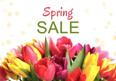 Image of Spring Sale flyer design with beautiful tulips on white background. Seasonal discount