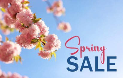 Image of Spring Sale flyer design with blossoming cherry tree branches against sky. Seasonal discount, flyer