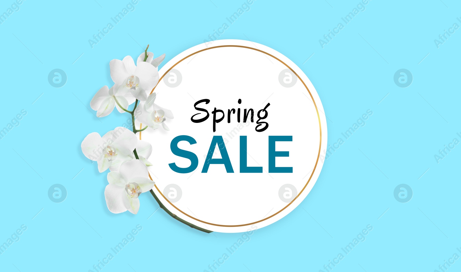 Image of Spring Sale card and orchid flowers on light blue background, top view. Seasonal discount, flyer