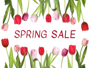 Image of Spring Sale flyer design with beautiful tulips on white background. Seasonal discount