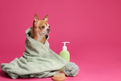 Photo of Cute funny dog wrapped in towel and different accessories for bathing on pink background