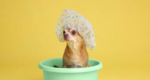 Photo of Cute funny dog with shower cap in basin on yellow background