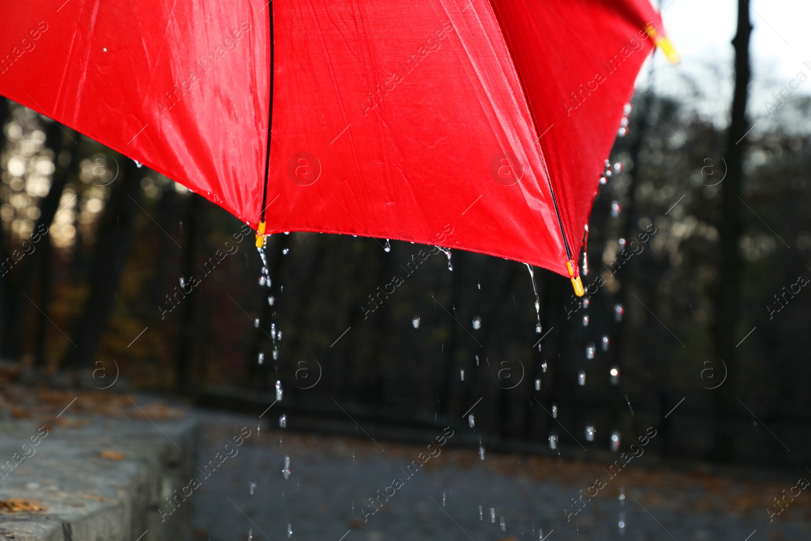 Photo of Open red umbrella under pouring rain outdoors, closeup