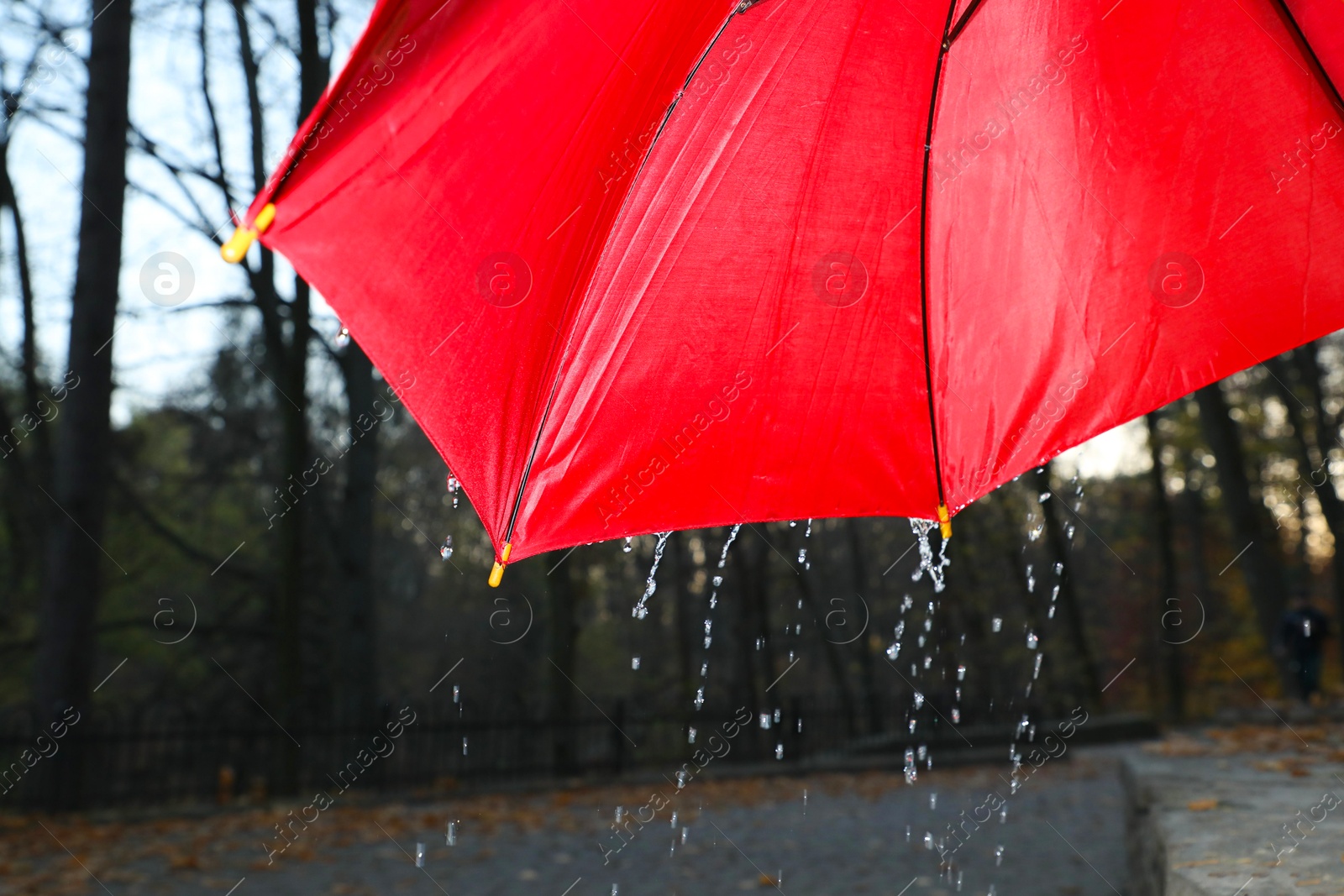 Photo of Open red umbrella under pouring rain outdoors, closeup